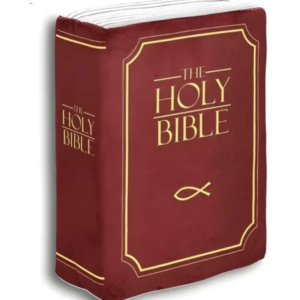 Huggable Holy Bible Plush Pillow | 1 Corinthians 13 | Free US Shipping